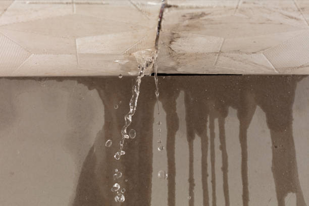 Professional Structural Drying technician working in Danese, WV